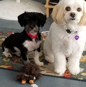 Meet your Posher, Michelle